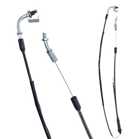 WhatsApp Image 2025-08-13 at 10.01.50 AM